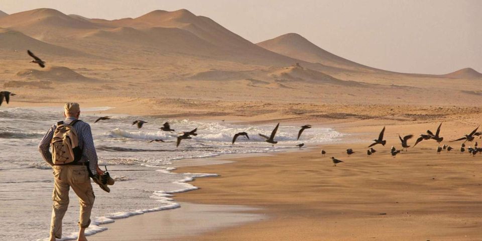 Ballestas Islands and Paracas Reserve - Full Day Escape - Explore Ballestas Islands & Paracas Reserve