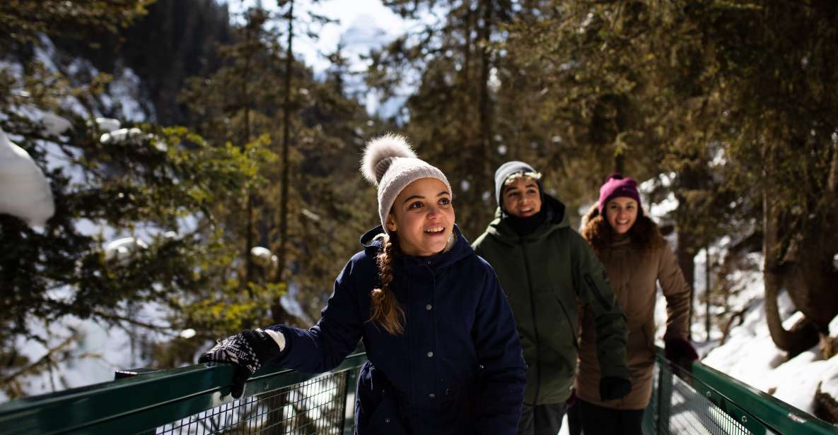 Banff: Johnston Canyon Explorer - Experience Highlights