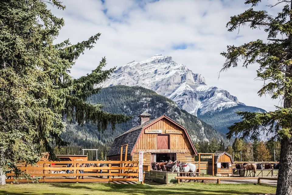 Banff National Park: 1-Hour Bow River Horseback Ride - Experience Highlights