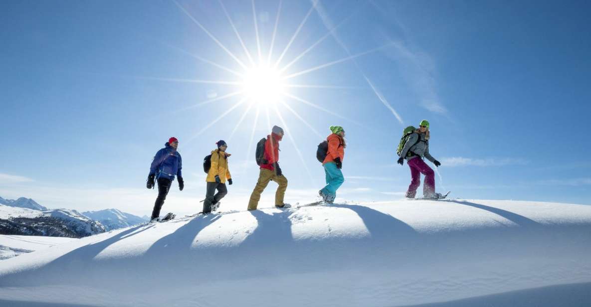 Banff National Park: Sunshine Meadows Snowshoeing Experience - Experience Highlights