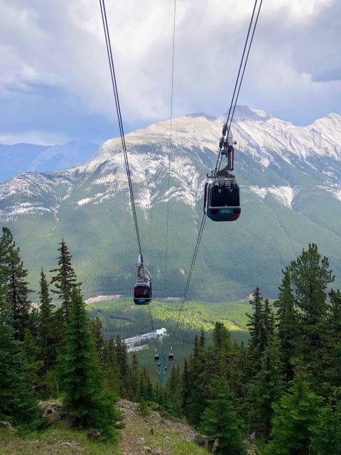 Banff: Sulphur Mountain Guided Hike - Experience Highlights