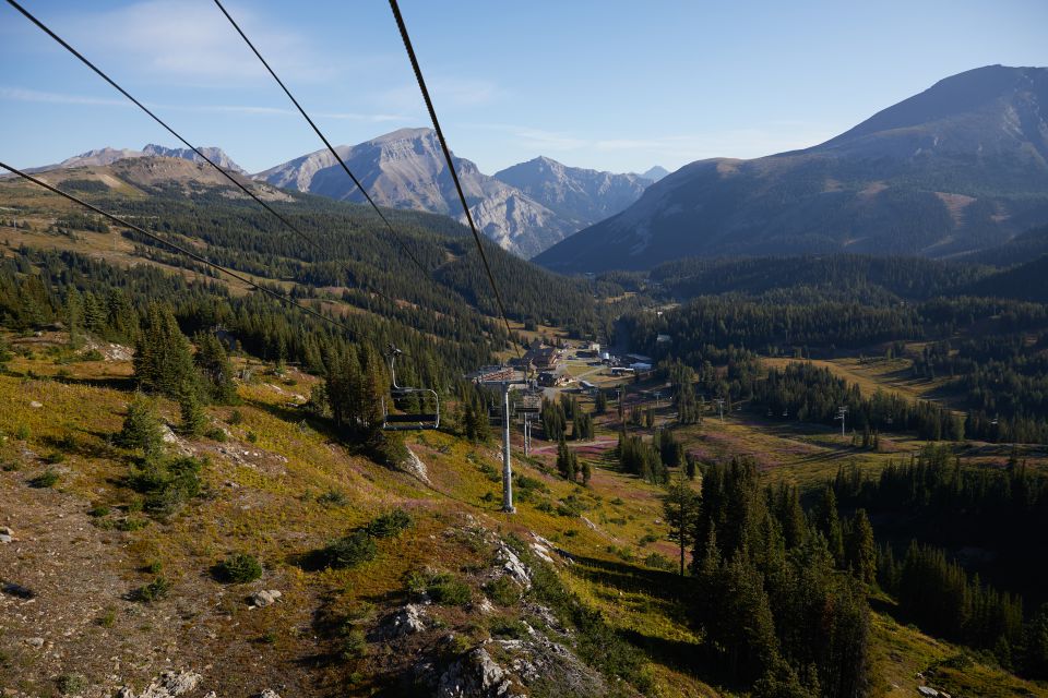 Banff: Sunshine Sightseeing Gondola and Standish Chairlift - Experience Highlights