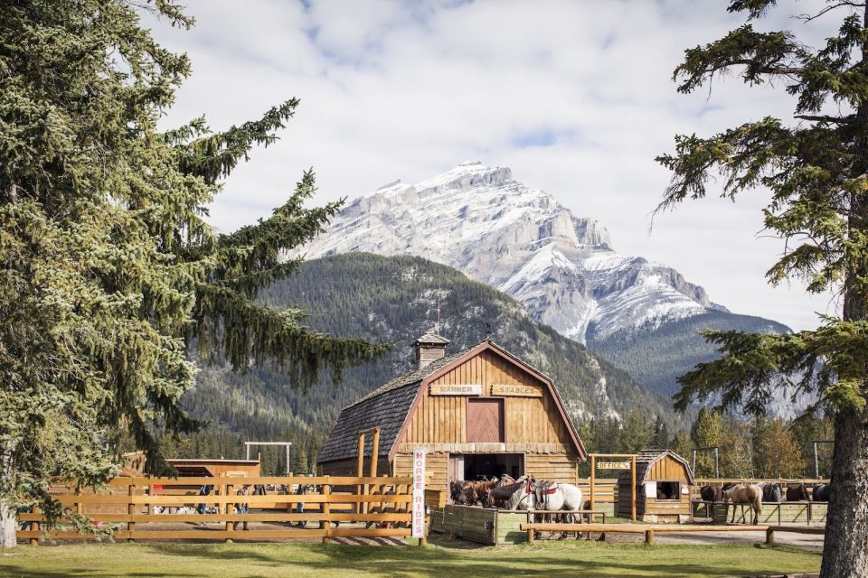 Banff: Wagon Ride With Cowboy Cookout BBQ - Experience Highlights