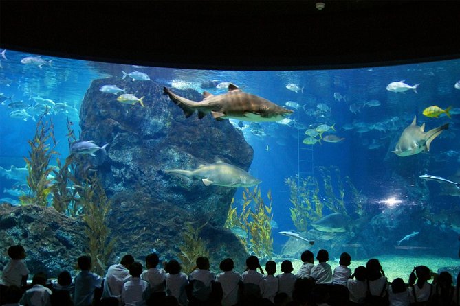 Bangkok Sea Life Aquarium and Madame Tussauds - Experience Highlights