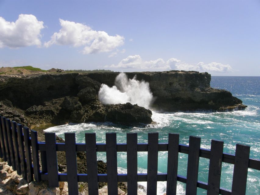 Barbados: Coastal Sightseeing Tour With Lunch and Transfers - Experience Highlights