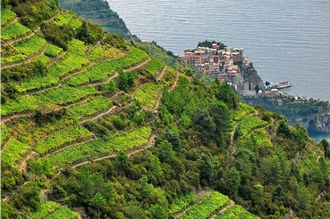 Barca Winery Cinqueterre Tour With Wine Tasting & Pesto Class - Itinerary Details