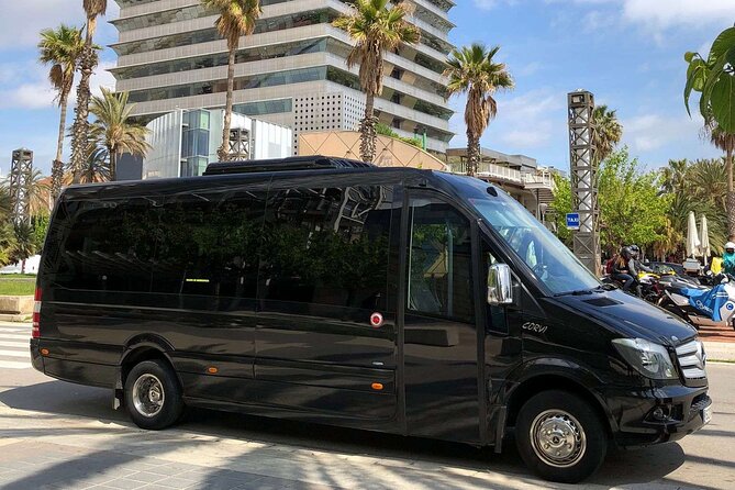 Barcelona City Private Tour 4 Hours (From 6 to 16 Passengers) - Pricing Information and Options