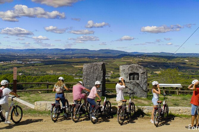 Barcelona: Wine & Ebike Full Day Guided Tour in Penedès - Customer Reviews