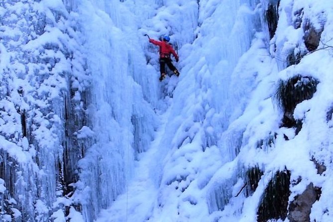 Bask in the Beauty of Winter Nikko in This Unforgettable Ice Climbing Experience - Cancellation Policy