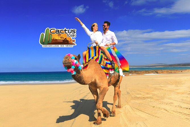 Beach Camel Ride & Encounter in Cabo by Cactus Tours Park - Encounter With Camels