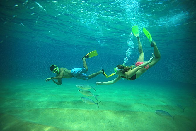 Beach Hopper Snorkeling Tour in Los Cabos - Tour Details