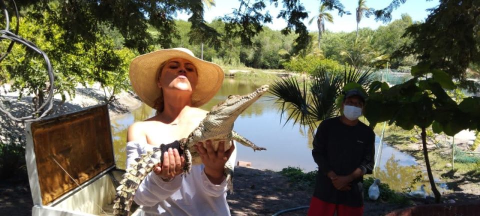 .Beach Horse Riding Turtle Release Crocodile Farm Experience - Experience Highlights