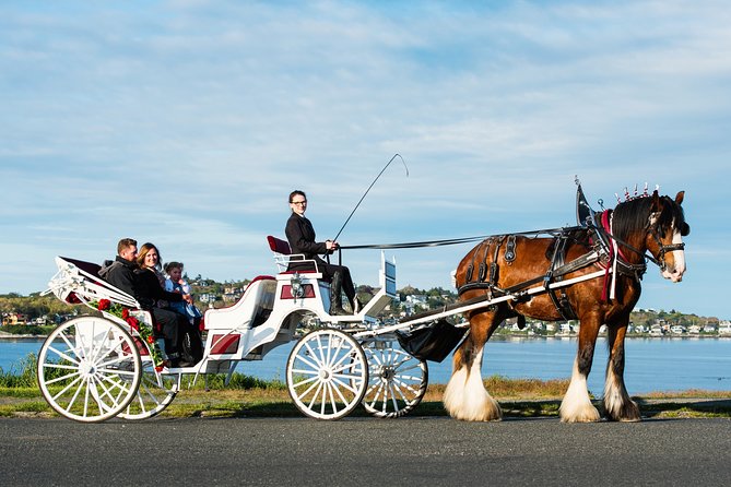 Beacon Hill Park Horse-Drawn Carriage Tour of Victoria - Inclusions and Amenities