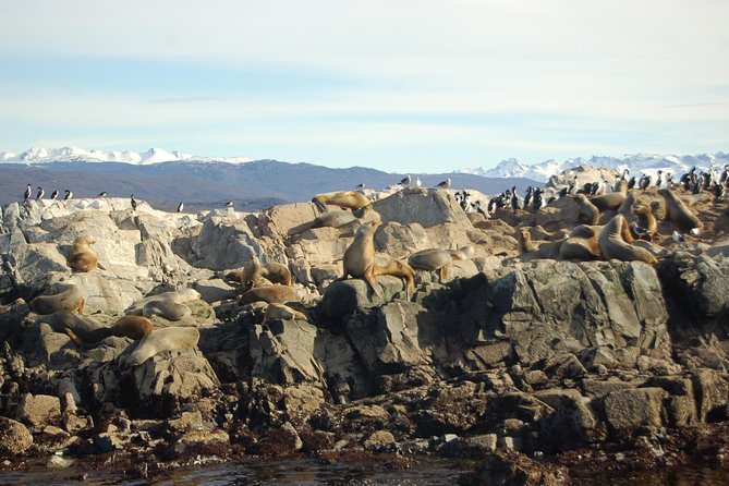 Beagle Channel Navigation - Sea Lions Island - Inclusions and Exclusions