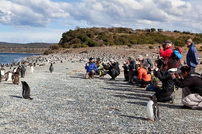 Beagle Channel to Martillo Island and Walk Among Penguins - Booking and Payment Information