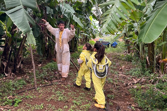 Bee Farm Ecotour and Honey Tasting in Waialua, North Shore Oahu - Taste Locally Harvested Honey Varieties