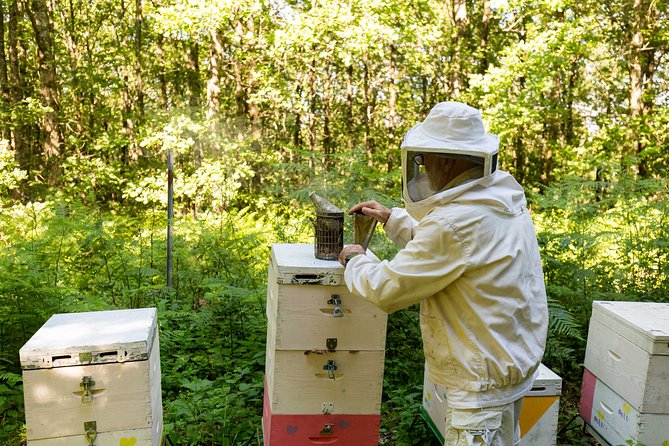 Beekeeper Experience in the Mountain of Holomontas - Logistics and Meeting Point