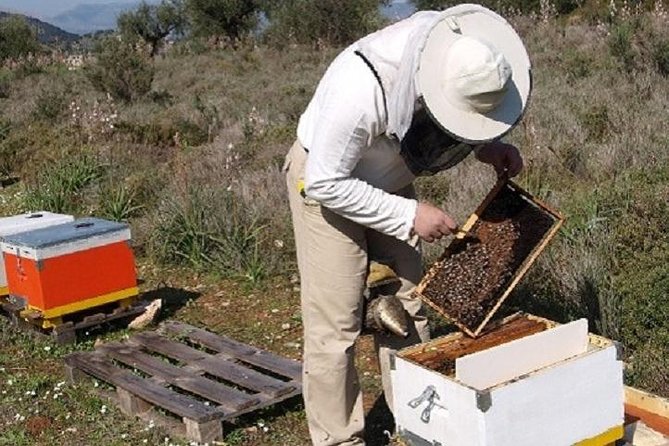 Beekeeper for a Day in Nafplio - Wear Protective Beekeeping Gear