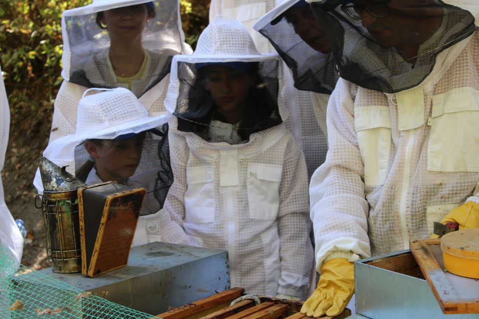 Beekeeping Tour in Amarante With Honey Tasting - Experience Highlights