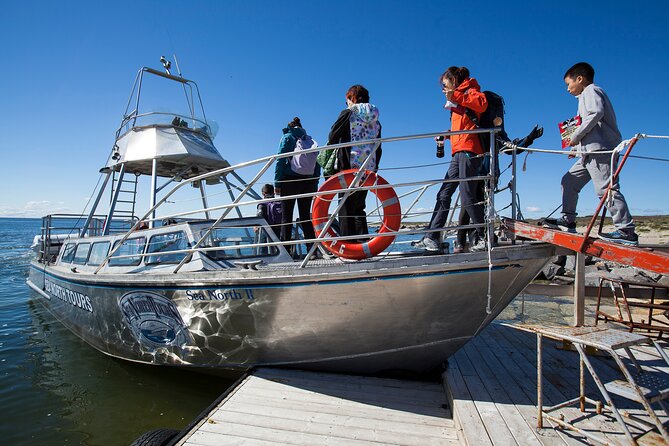 Belugas, Bears and Blooms in Churchill Manitoba - Enjoy Zodiac Boat Adventures