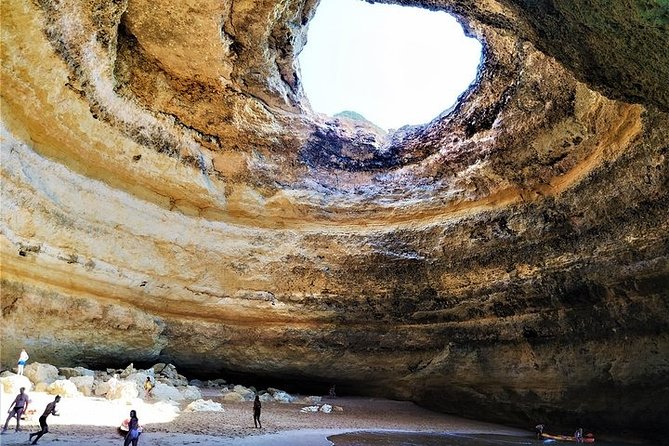 Benagil Cave Tour and Dolphin Watching From Vilamoura  - Albufeira - Inclusions and Logistics