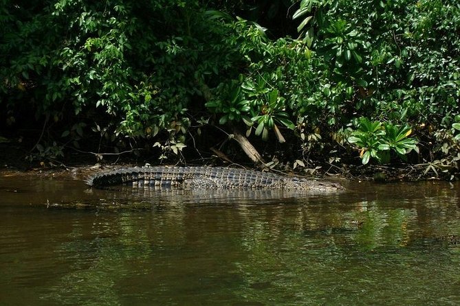 Bentota River Boat Safari With Private Boat Beruwala/Bentota/Kosgoda/Ahungalla - Tour Duration