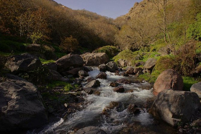 Berber Life Experience in the Atlas Mountains From Marrakech - Village Visits