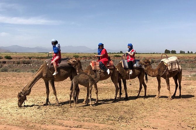 Berber Villages 3 Valleys & Camel Ride Atlas Mountains Day Trip - Traveler Reviews