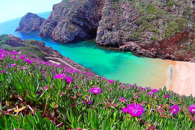 Berlengas Catamaran Tour - Booking and Cancellation