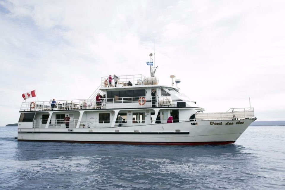 Berthier-sur-Mer: Razorbill Penguin Observation Cruise - Experience Highlights