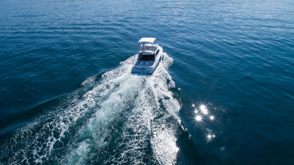 Bertram 38' Convertible Boat in Puerto & Nuevo Vallarta - Experience and Equipment