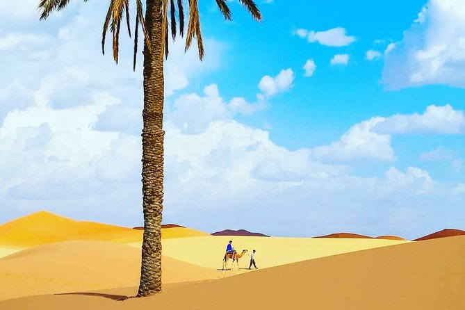 Best Casablanca Desert Trips - Accommodation Details