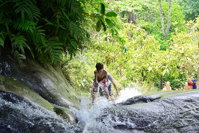 Best of Chiangmai Day Trip Temples and Sticky Waterfall - Lunch Inclusion