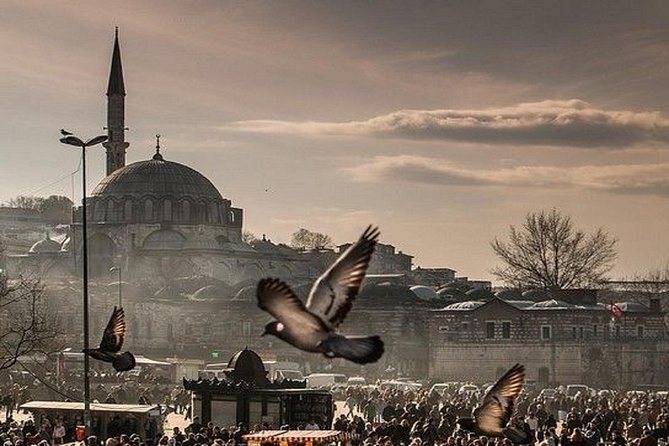 Best Of Istanbul :1-2 or 3 Day Private Istanbul Guided Tour - Customer Reviews