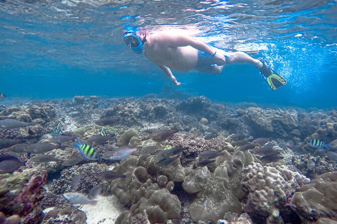 Best of Phi Phi Islands Snorkeling Tour From Phuket - Itinerary