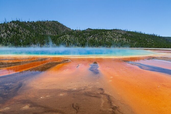 Best Of Yellowstone Full Day Natl Park Tour From Bozeman - Age & Group Size