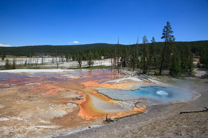 Best of Yellowstone Guided Tour From Bozeman - Private Tour - Booking and Terms