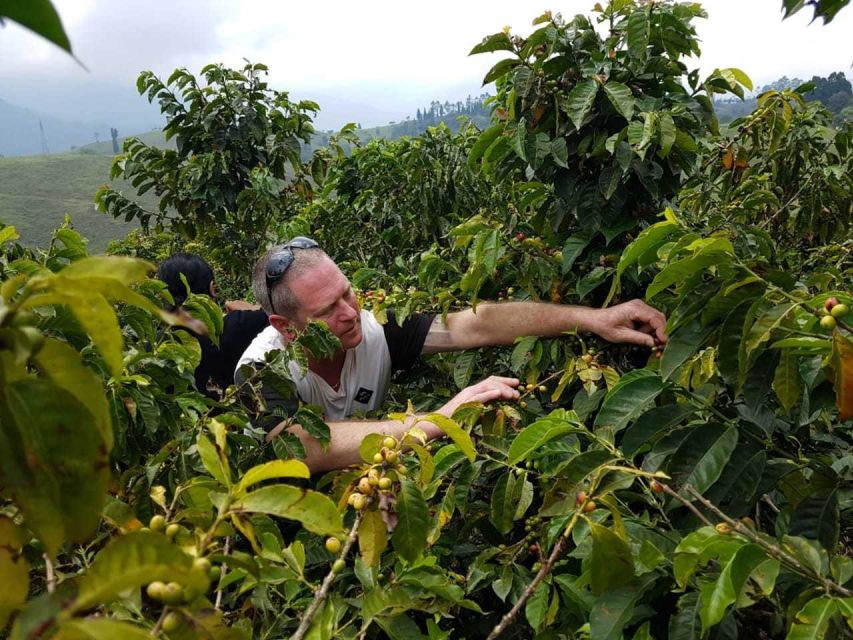 Between Cups and Mountains Antioquia Tour (Multiday Tour) - Tour Highlights and Itinerary