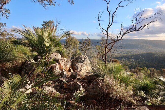 Bibbulmun Track Multi-Day Hike and Camp to the Darling Range - Camping Essentials