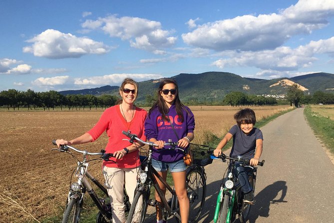 Bicycle Tour From Heidelberg to Quaint Ladenburg. - Booking and Cancellation Policies