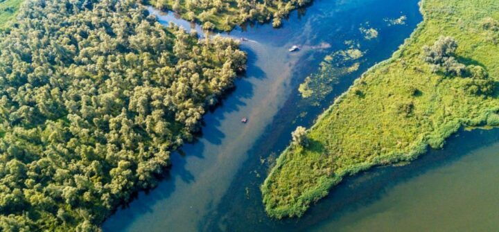 Biesbosch: Boat Cruise Through National Park - Experience Highlights