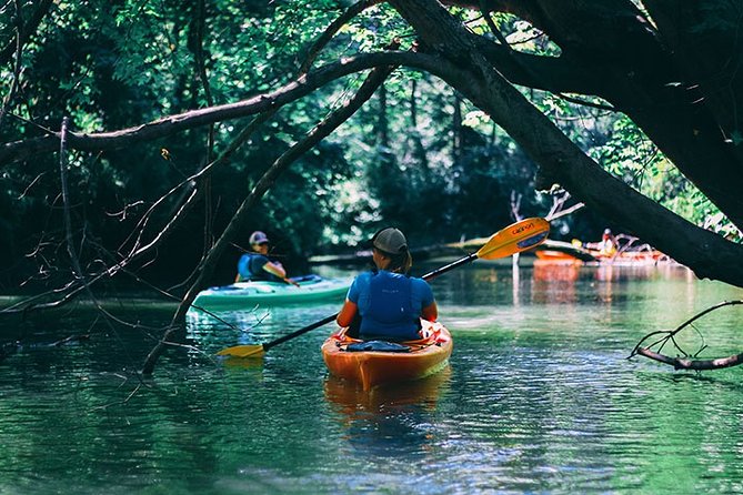 Big Creek Kayak Tour - Inclusions and Equipment
