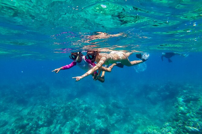 Big Island Snorkel Cruise From Waikoloa - Logistics and Meeting Information