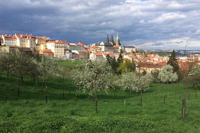 Bike Tour of Prague in English - Refund and Cancellation Policies