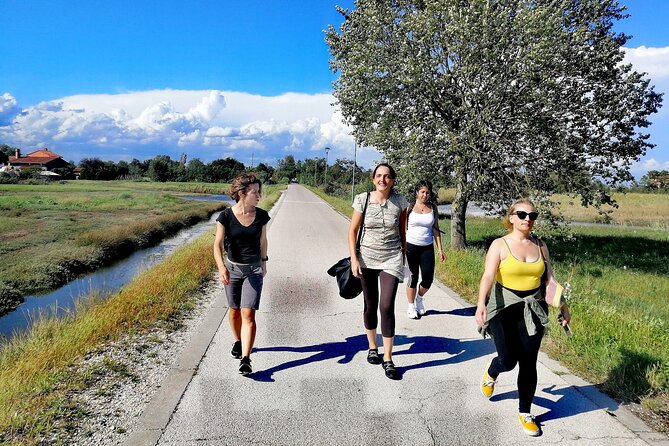 Bike Tour With Honey and Artichockes on Sant'Erasmo Island - Pricing Details