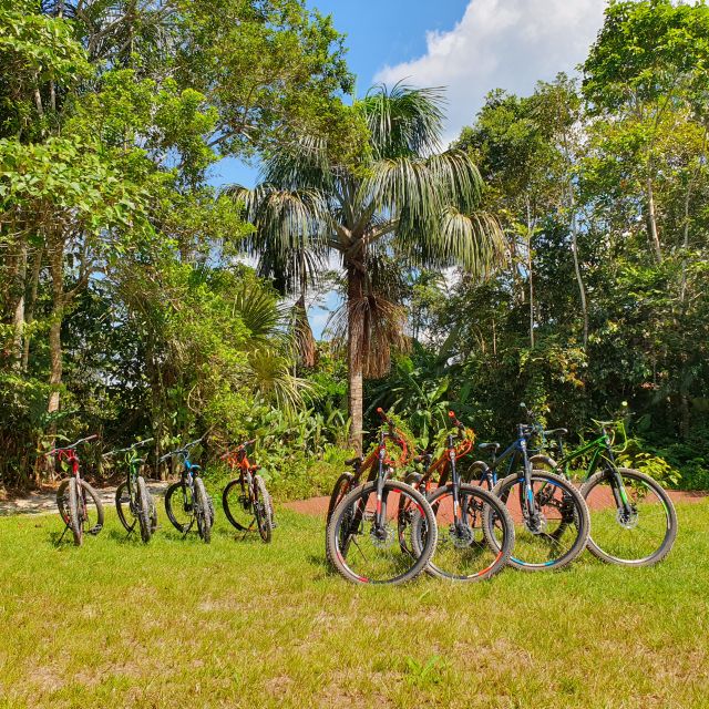 Biking in Peruvian Rainforest With Lagoon Visit - Experience Highlights