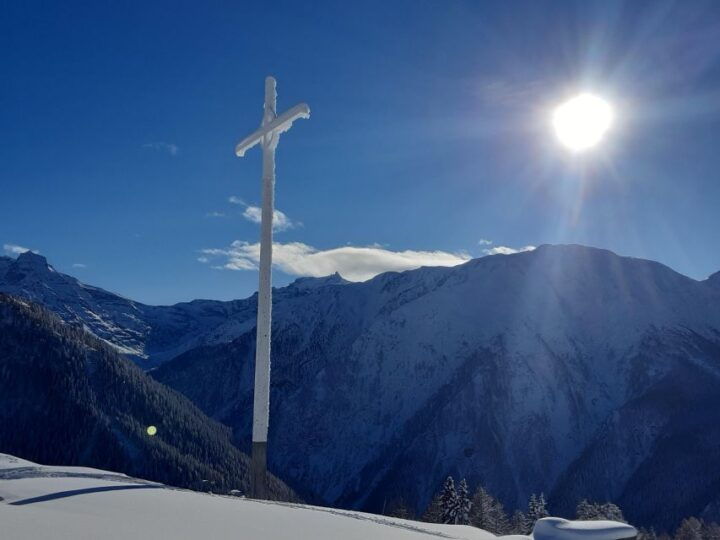 Binn: Avalanche Workshop for Snowshoe Tours - Experience Highlights