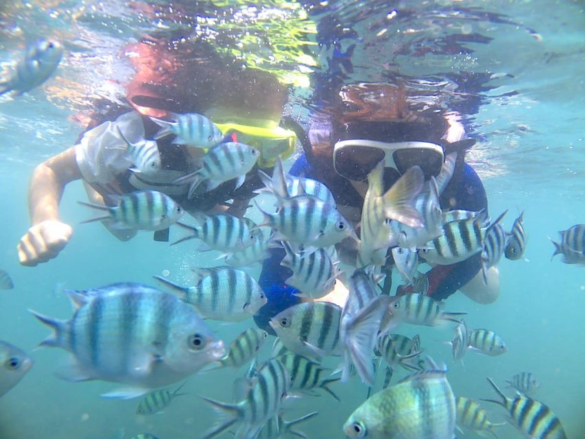 Bintan Snorkeling - Break Time Details