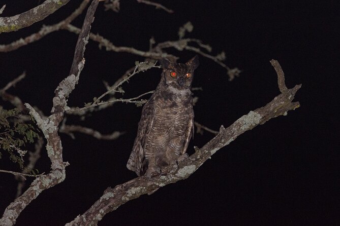 Birding and Nature Chaco Tour - Traveler Testimonials