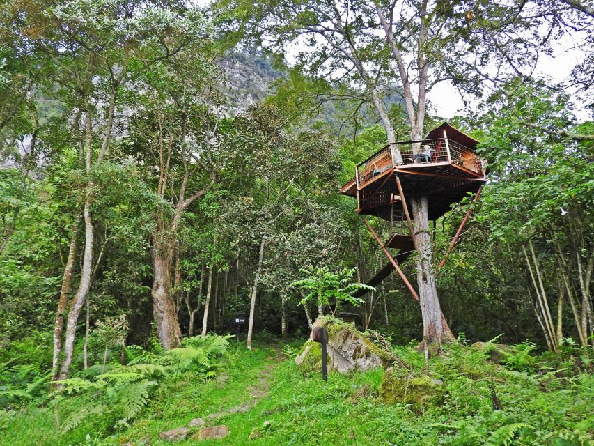 Birdwatching Day Tour at Chicaque Natural Park - Location and Biodiversity